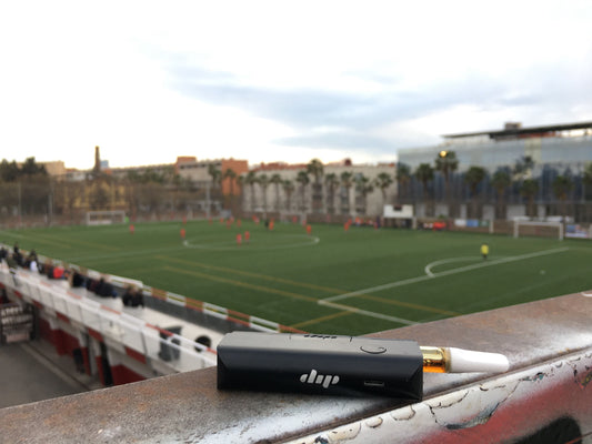 Dip Dab Pen at Soccer Game