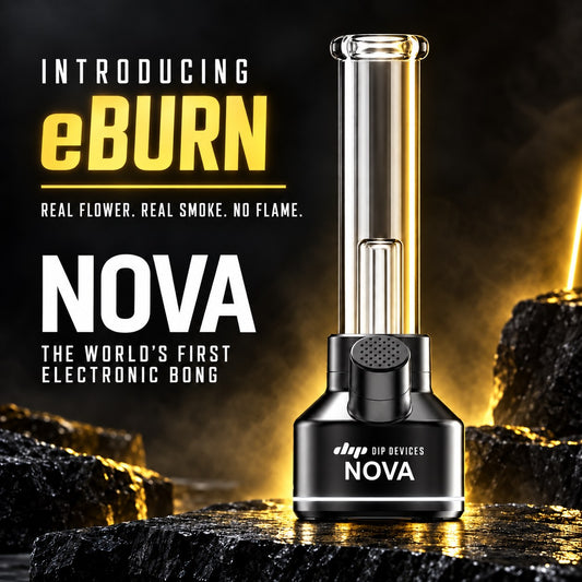 Introducing eBurn — Nova, the world's first electronic bong. Real flower, real smoke, no flame.